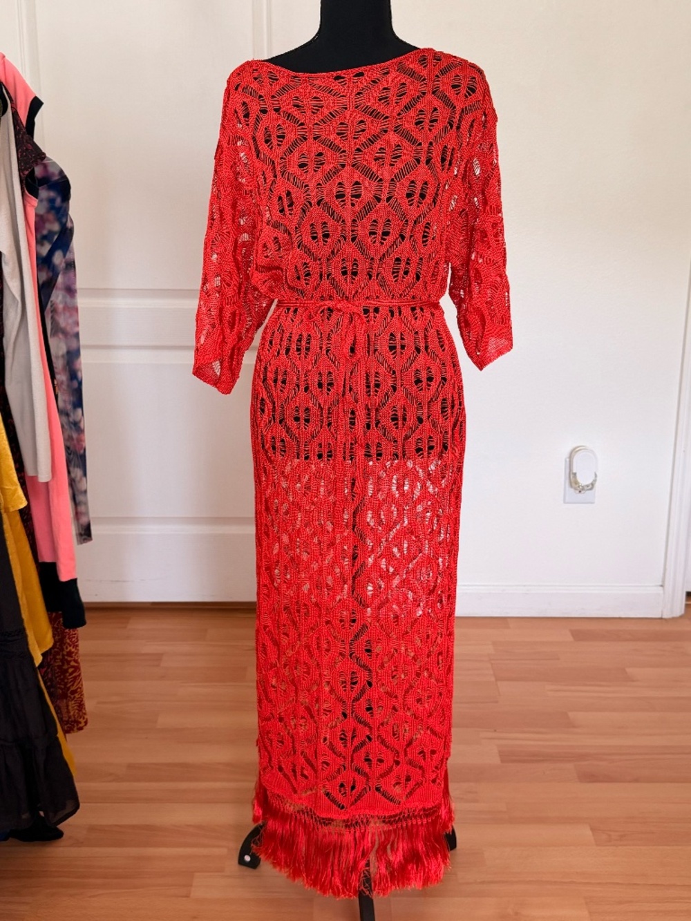 Zara Crochet Knit Fringe Maxi Dress Cover Up Size S NWT Boho Beach